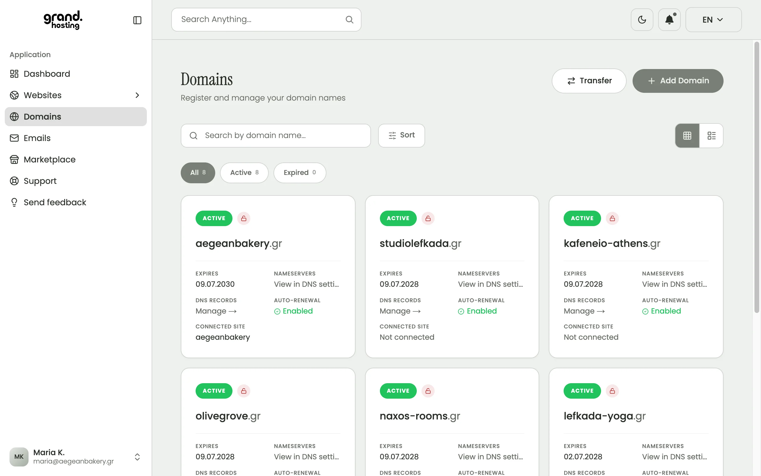 Grandhosting dashboard: domain names with expiry dates, DNS records, auto-renewal and the site each one is connected to