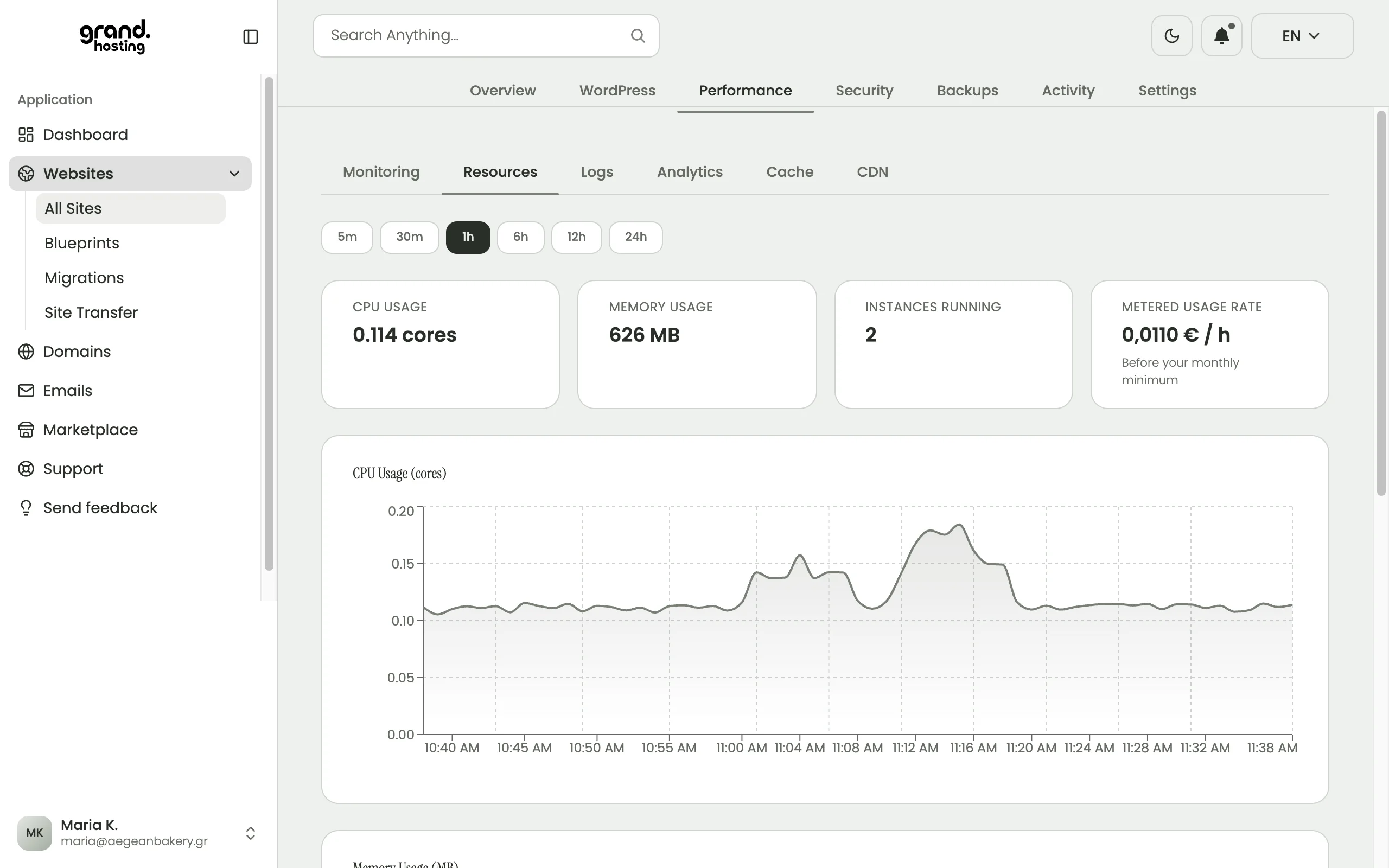 Grandhosting dashboard: CPU and memory use, instances running and the usage rate per hour for a site